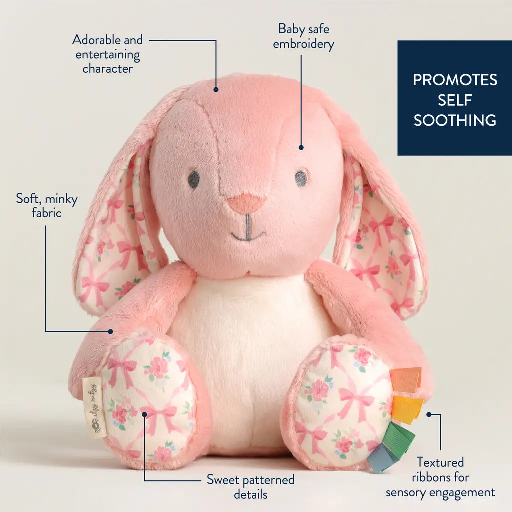 Sweetie Snuggles™ Plush - Ana the Bunny