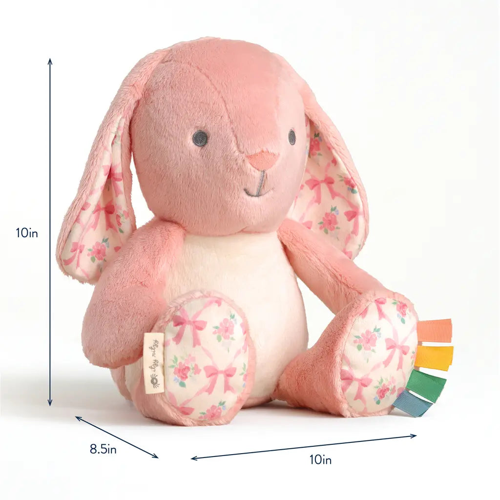 Sweetie Snuggles™ Plush - Ana the Bunny