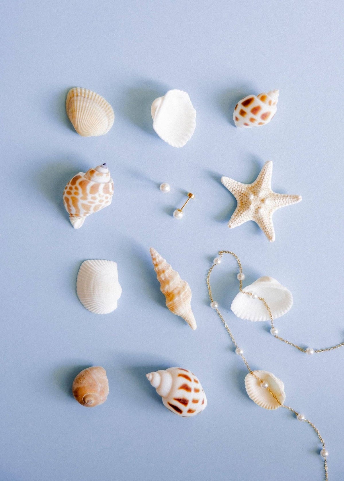 Payton Pearl White 5mm Screwback Stud Earrings