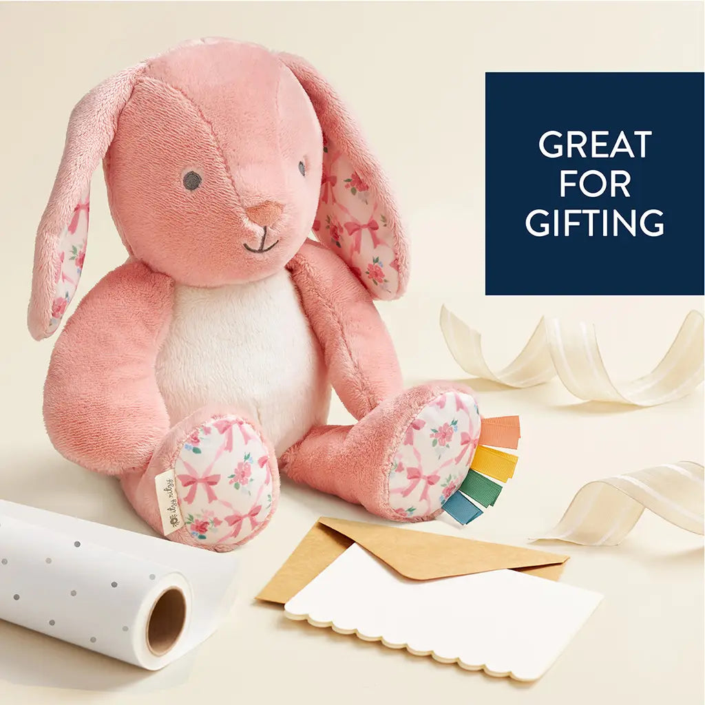Sweetie Snuggles™ Plush - Ana the Bunny