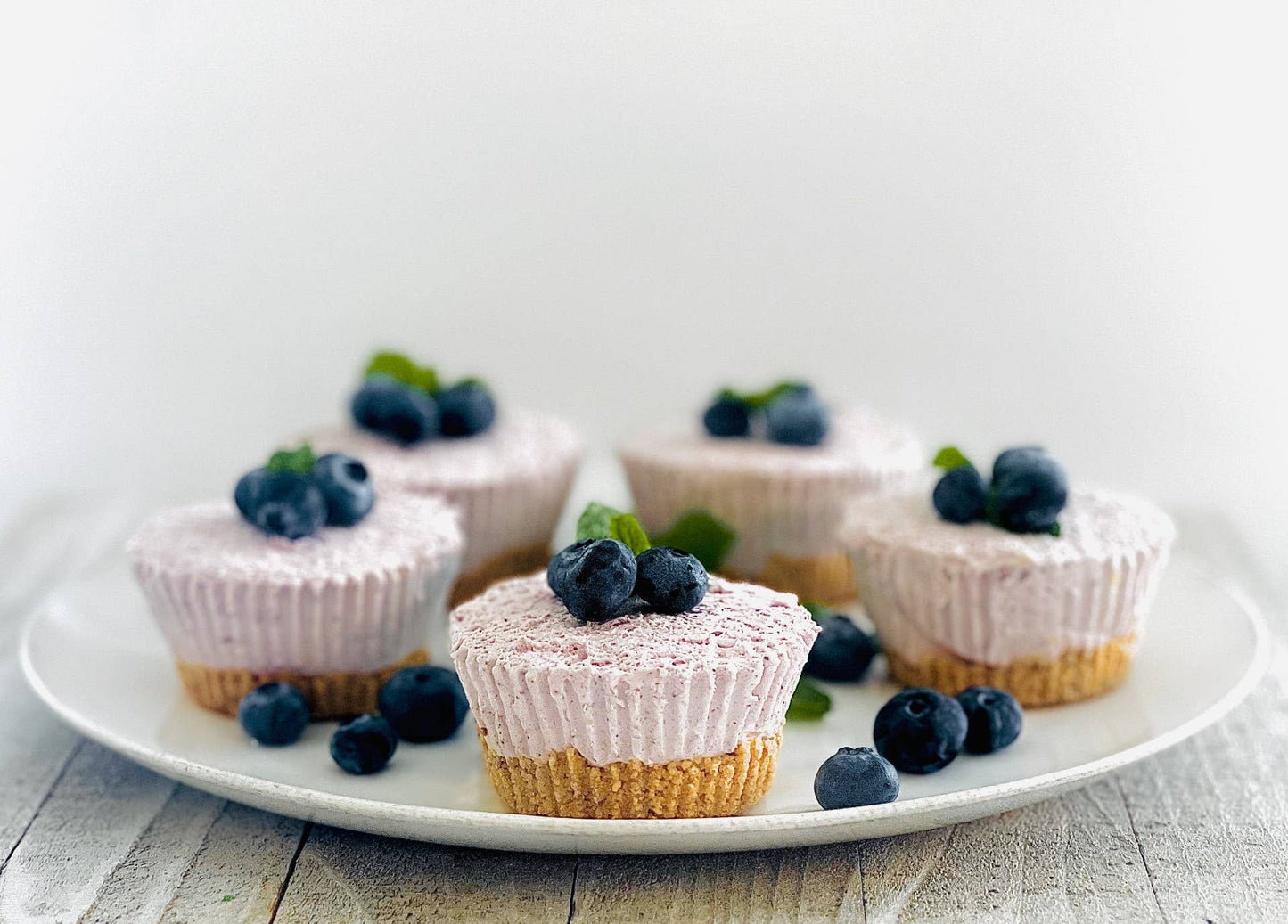 Wild Blueberry Cheesecake Dip Mix