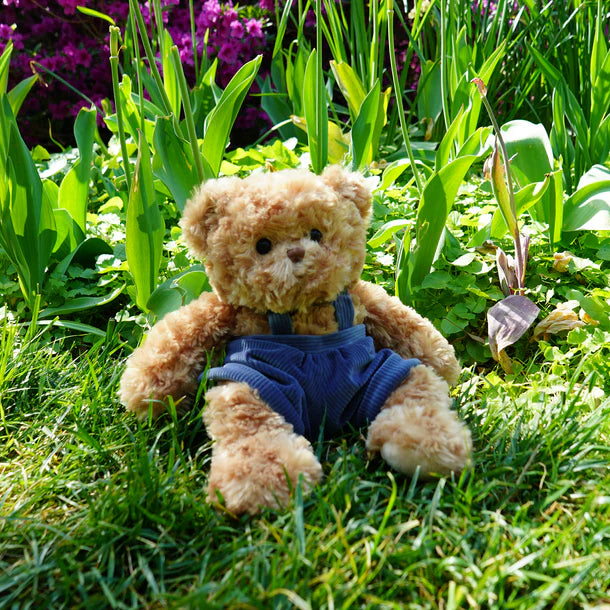 Bukowski Bear - Mavi