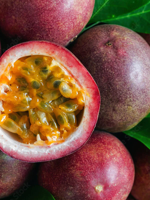 Pura Home Smart Vial - Glasshouse One Night in Rio