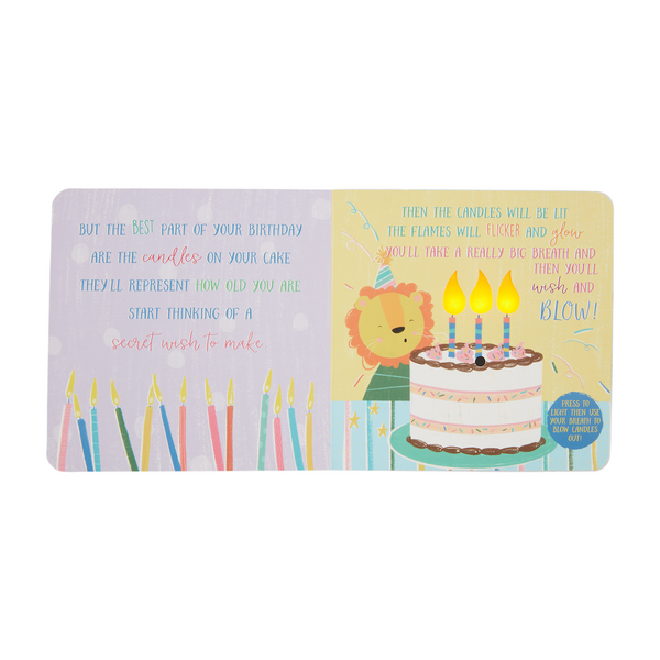Mud Pie Happy Birthday Board Book