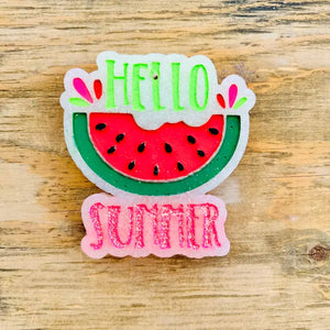 Hello Summer Watermelon Car Freshie