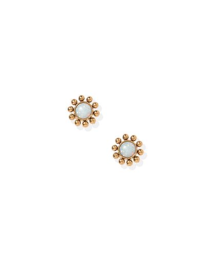 Serena Opal Screwback Stud Earrings