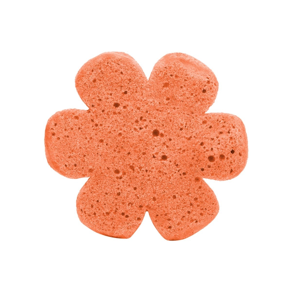 Sweet Splash Soap Infused Spongie