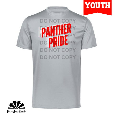 Youth Silver Panther Pride Echo Drifit