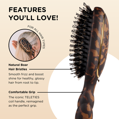 TELETIE Boar Bristle Hair Brush | Tortoise