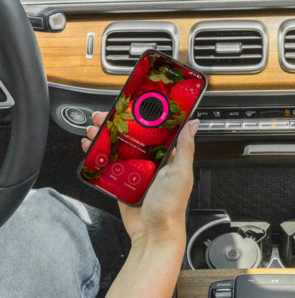 Pura Car Fragrance - Let's Celebrate