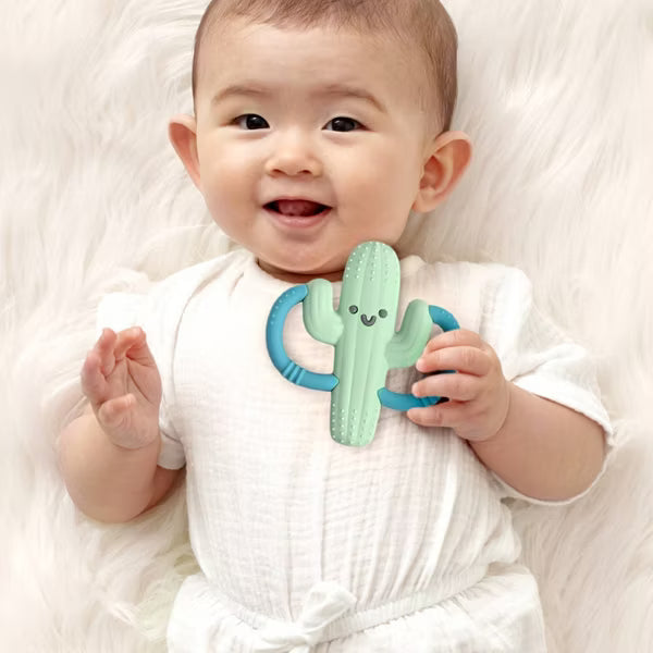 Itzy Ritzy Chew Crew Teether - Cooper the Cactus
