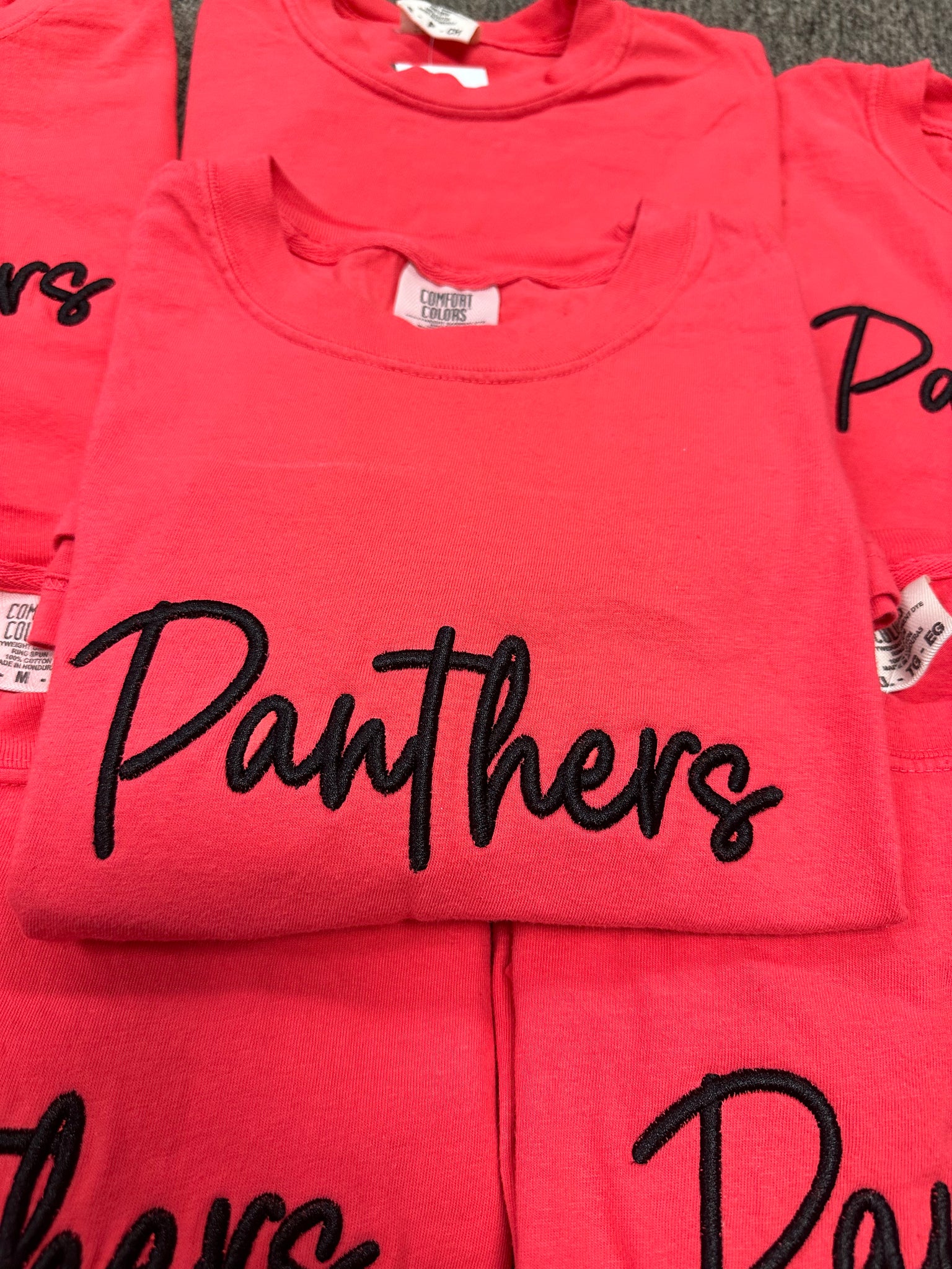 Paprika Panthers Puff Embroidered Tee