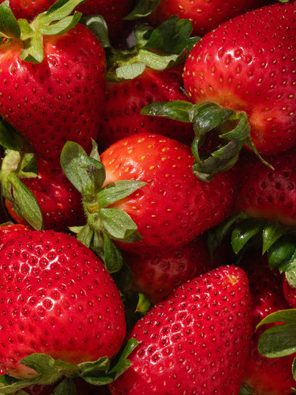 Pura Home Vial - Let's Celebrate