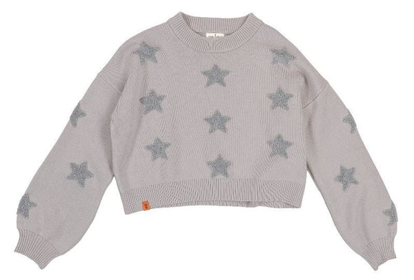 Gray Star Crop Sweater