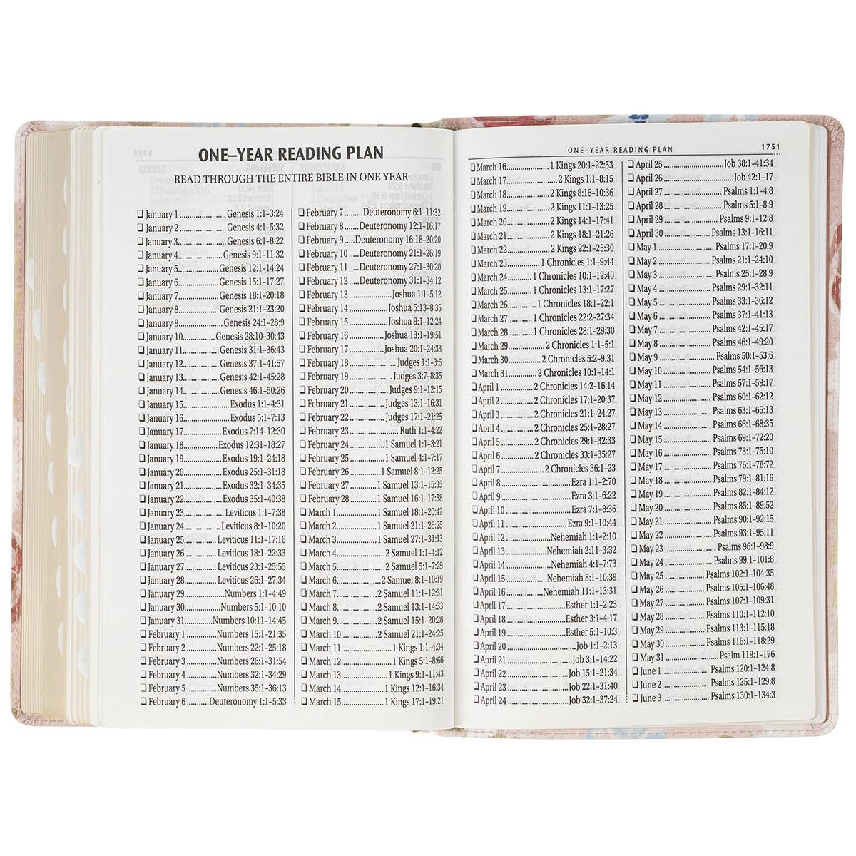 Floral Giant Print Standard-size Faux Leather KJV Bible