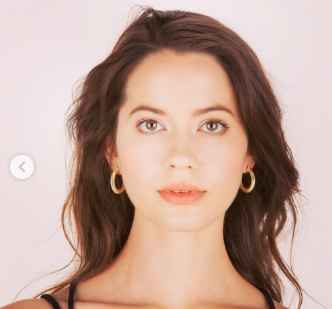 Cleo Hoops - Brushed Gold