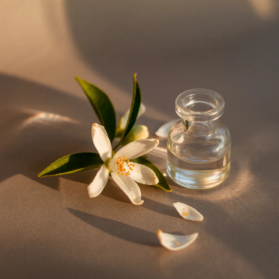 Pura Car Fragrance - Linens & Surf