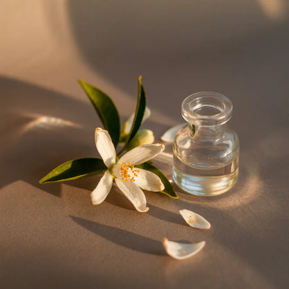 Pura Car Fragrance - Linens & Surf