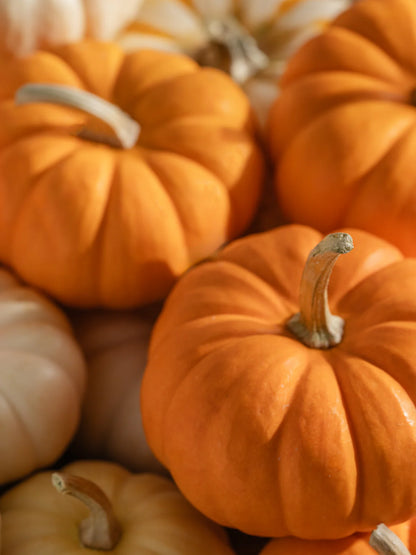 Pura Home Smart Vial - Homesick Pumpkin Picking