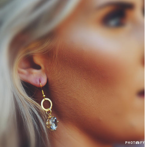 Pretty Little Stone Earrings