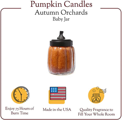 Baby Pumpkin Candle - Autumn Orchards